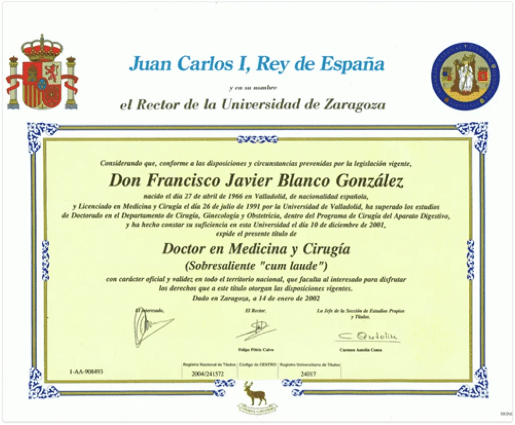 imagen_2023-07-18_165034129-1024x846