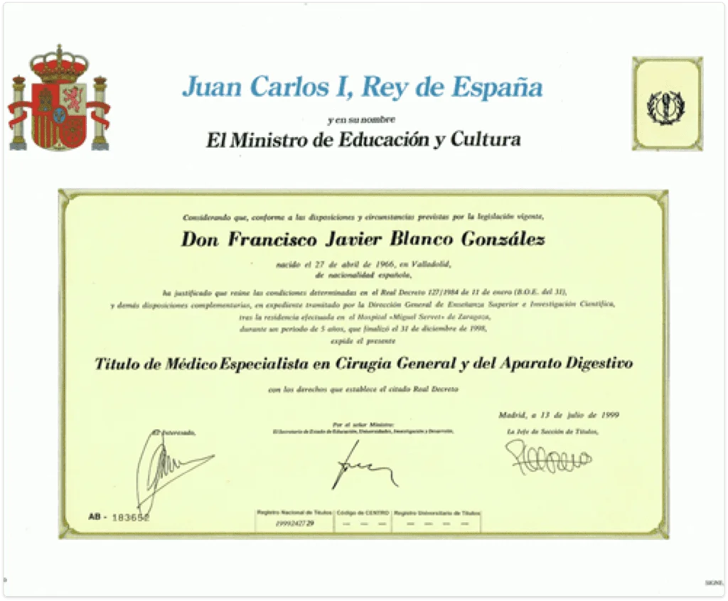 imagen_2023-07-18_165207728-1024x846